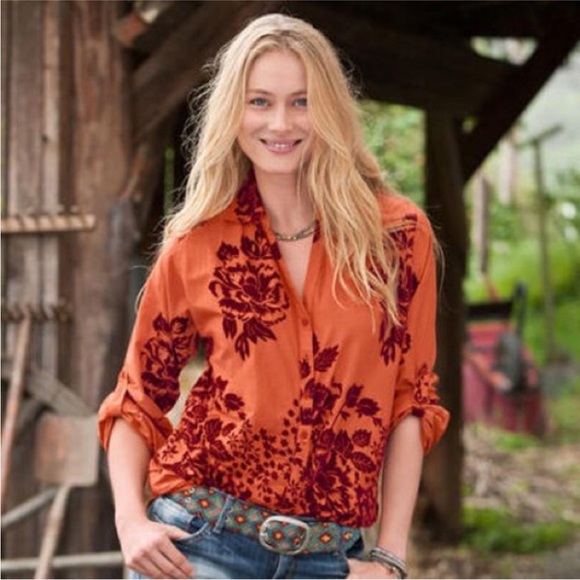 Sundance Tops - Sundance Catalog Velvet Vignette Floral Blouse Shirt Sz L